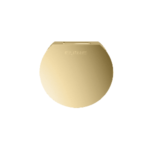 104515PB - Mr Steam Designer 3 in. Steamhead with AromaTherapy Reservoir in Round Polished Brass
