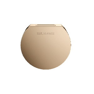 104515PG - Mr Steam Designer 3 in. Steamhead with AromaTherapy Reservoir in Round Polished Gold