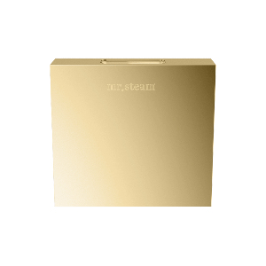 104516PB - Mr Steam Designer 3 in. Steamhead with AromaTherapy Reservoir in Square Polished Brass