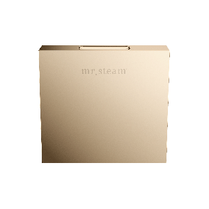 104516PG - Mr Steam Designer 3 in. Steamhead with AromaTherapy Reservoir in Square Polished Gold