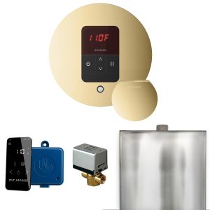 BBRPB - Mr Steam Basic Butler Steam Shower Ctrl Pkg w/Round iTempo Control and Steamhead in Polished Brass