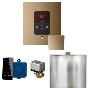BBSBB - Mr Steam Basic Butler Steam Shower Ctrl Pkg w/Square iTempo Control and Steamhead in Brushed Bronze