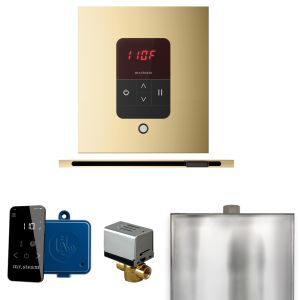 BBSLPB - Mr Steam Basic Butler Steam Shower w/Square iTempo Control and Linear Steamhead in Polished Brass