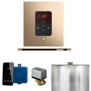 BBSLPG - Mr Steam Basic Butler Steam Shower Pkg w/Square iTempo Control and Linear Steamhead in Polished Gold