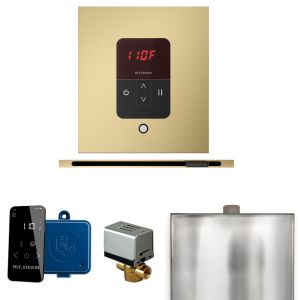 BBSLSB - Mr Steam Basic Butler Steam Shower Pkg w/Square iTempo Control and Linear Steamhead in Satin Brass