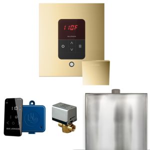 BBSPB - Mr Steam Basic Butler Steam Shower w/Square iTempo Control and Linear Steamhead in Polished Brass
