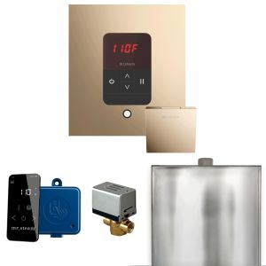 BBSPG - Mr Steam Basic Butler Steam Shower Pkg w/Square iTempo Control and Linear Steamhead in Polished Gold