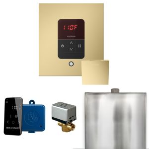 BBSSB - Mr Steam Basic Butler Steam Shower Pkg w/Square iTempo Control and Linear Steamhead in Satin Brass