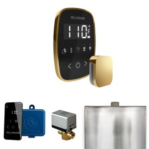BFBKPB - Mr Steam ButlerFlex Steam Shower Ctrl Pkg w/TempoFlex Control and Steamhead in Black Polished Brass