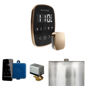 BFBKPG - Mr Steam ButlerFlex Steam Shower Ctrl Pkg w/TempoFlex Control and Steamhead in Black Polished Gold