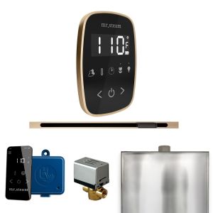 BFLBKBB - Mr Steam ButlerFlex Steam Shower w/TempoFlex Control and Linear Steamhead in Black Brushed Bronze