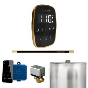 BFLBKPB - Mr Steam ButlerFlex Steam Shower w/TempoFlex Control and Linear Steamhead in Black Polished Brass