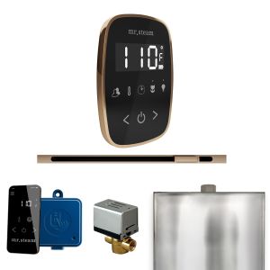 BFLBKPG - Mr Steam ButlerFlex Steam Shower w/TempoFlex Control and Linear Steamhead in Black Polished Gold