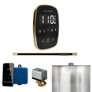 BFLBKSB - Mr Steam ButlerFlex Steam Shower Pkg w/TempoFlex Control and Linear Steamhead in Black Satin Brass
