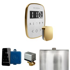 BFWHPB - Mr Steam ButlerFlex Steam Shower Ctrl Pkg w/TempoFlex Control and Steamhead in White Polished Brass