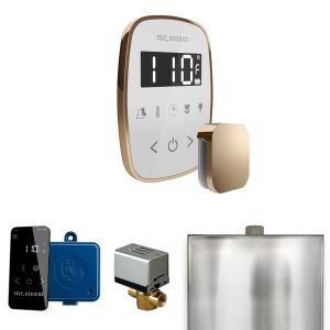 BFWHPG - Mr Steam ButlerFlex Steam Shower Ctrl Pkg w/TempoFlex Control and Steamhead in White Polished Gold