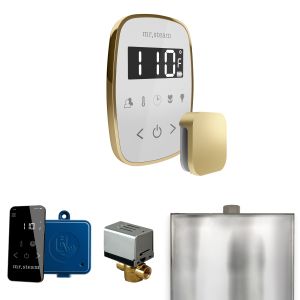 BFWHSB - Mr Steam ButlerFlex Steam Shower Ctrl Pkg w/TempoFlex Control and Steamhead in White Satin Brass