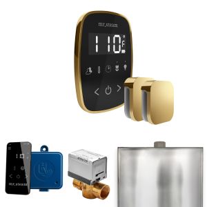 BFXBKPB - Mr Steam ButlerFlex Max Steam Shower Pkg w/TempoFlex Control and Steamhead in Black Polished Brass