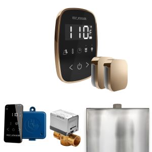 BFXBKPG - Mr Steam ButlerFlex Max Steam Shower Pkg w/TempoFlex Control and Steamhead in Black Polished Gold
