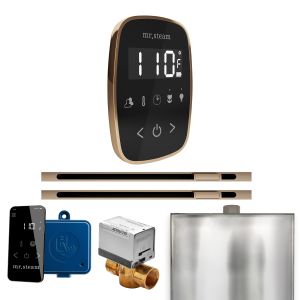 BFXLBKPG - Mr Steam ButlerFlex Max Steam Shower w/TempoFlex Control and Linear Steamhead in Blk Polished Gold
