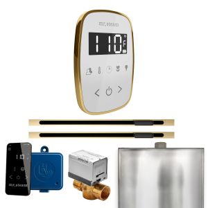 BFXLWHPB - Mr Steam ButlerFlex Max Steam Shower w/TempoFlex Control and Linear Steamhead in Wht Polished Brass