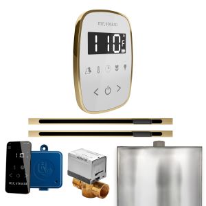 BFXLWHSB - Mr Steam ButlerFlex Max Steam Shower w/TempoFlex Control and Linear Steamhead in White Satin Brass