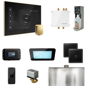 BLS1-BKPB - Mr Steam Bliss Steam Shower Ctrl Pkg w/iSteamX Control and Steamhead in Black Polished Brass