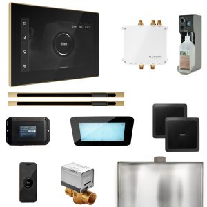 BLS1-BKXLSB - Mr Steam Bliss Max Steam Shower Ctrl Pkg w/iSteamX Control and Linear Steamhead in Black Satin Brass