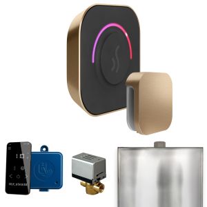 BTBB - Mr Steam ButlerTouch Steam Shower Ctrl Pkg w/TempoTouch Control and Steamhead in Brushed Bronze