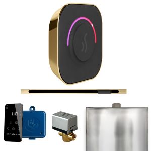 BTLPB - Mr Steam ButlerTouch Steam Shower Pkg w/TempoTouch Control and Linear Steamhead in Polished Brass