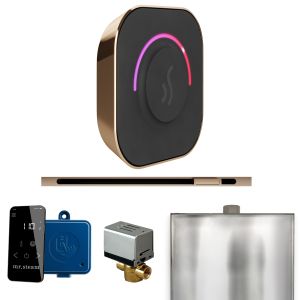 BTLPG - Mr Steam ButlerTouch Steam Shower Pkg w/TempoTouch Control and Linear Steamhead in Polished Gold