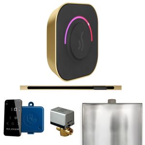 BTLSB - Mr Steam ButlerTouch Steam Shower Ctrl Pkg w/TempoTouch Control and Linear Steamhead in Satin Brass