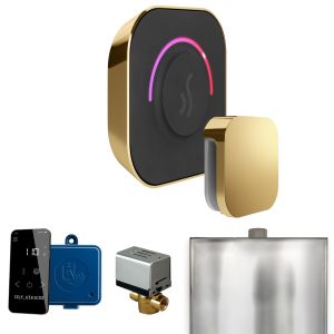 BTPB - Mr Steam ButlerTouch Steam Shower Ctrl Pkg w/TempoTouch Control and Steamhead in Polished Brass