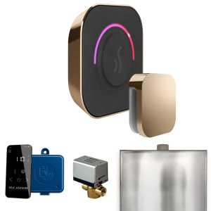 BTPG - Mr Steam ButlerTouch Steam Shower Ctrl Pkg w/TempoTouch Control and Steamhead in Polished Gold
