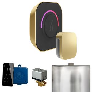 BTSB - Mr Steam ButlerTouch Steam Shower Ctrl Pkg w/TempoTouch Control and Steamhead in Satin Brass