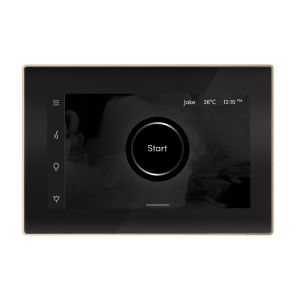 ISXBKBB - Mr Steam iSteamX Steam Shower Control and Steamhead in Black Brushed Bronze