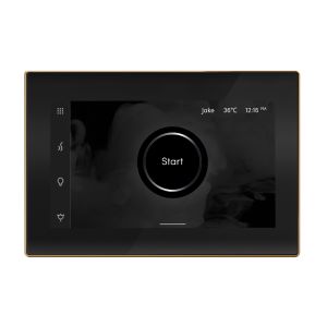 ISXBKPG - Mr Steam iSteamX Steam Shower Control and Steamhead in Black Polished Gold
