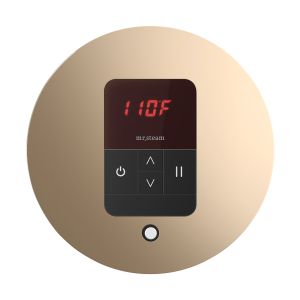 ITRDPG - Mr Steam iTempo Round Steam Shower Control and Steamhead in Polished Gold