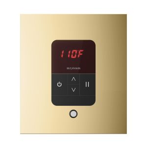 ITSQPB - Mr Steam iTempo Square Steam Shower Control and Steamhead in Polished Brass