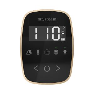 TFBKBB - Mr Steam TempoFlex Steam Shower Control and Steamhead in Black Brushed Bronze