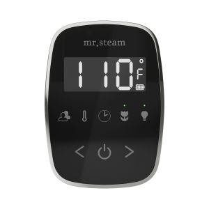 TFBKBL - Mr Steam TempoFlex Steam Shower Control and Steamhead in Black Brilliant Black