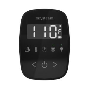 TFBKMB - Mr Steam TempoFlex Steam Shower Control and Steamhead in Black Matte Black
