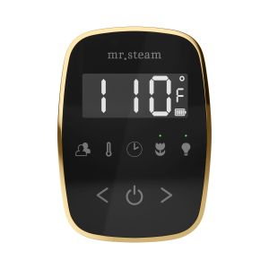 TFBKPB - Mr Steam TempoFlex Steam Shower Control and Steamhead in Black Polished Brass