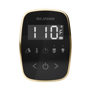 TFBKSB - Mr Steam TempoFlex Steam Shower Control and Steamhead in Black Satin Brass