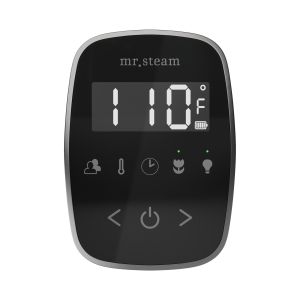 TFBKST - Mr Steam TempoFlex Steam Shower Control and Steamhead in Black Satin Steel