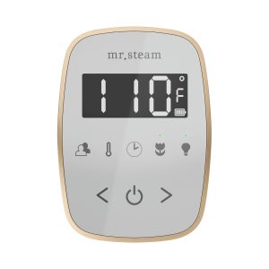 TFWHBB - Mr Steam TempoFlex Steam Shower Control and Steamhead in White Brushed Bronze