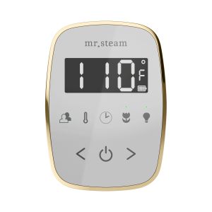 TFWHPN - Mr Steam TempoFlex Steam Shower Control and Steamhead in White Polished Nickel