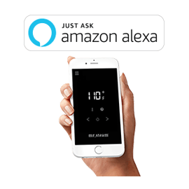 Mr Steam Alexa Controls