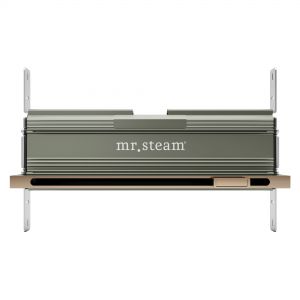 104480PG - Mr Steam Linear 16 in. W. Steamhead with AromaTherapy Reservoir in Polished Gold