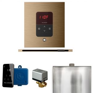 BBSLBB - Mr Steam Basic Butler Steam Shower w/Square iTempo Control and Linear Steamhead in Brushed Bronze